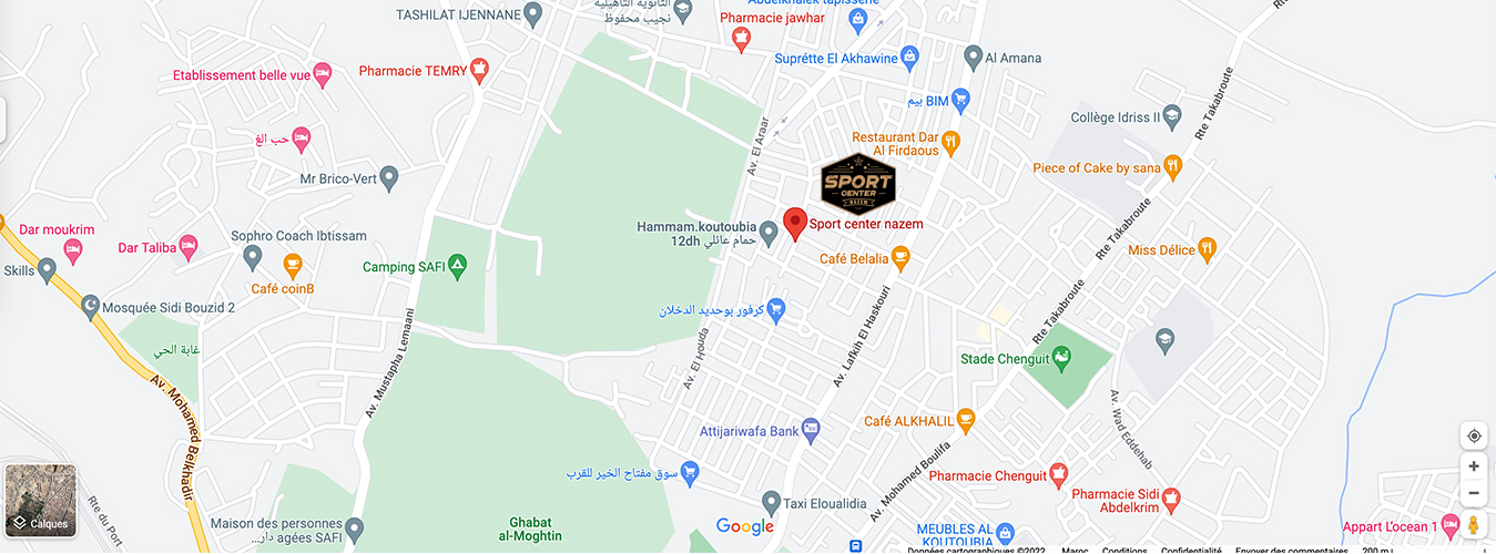 Voir dans google maps