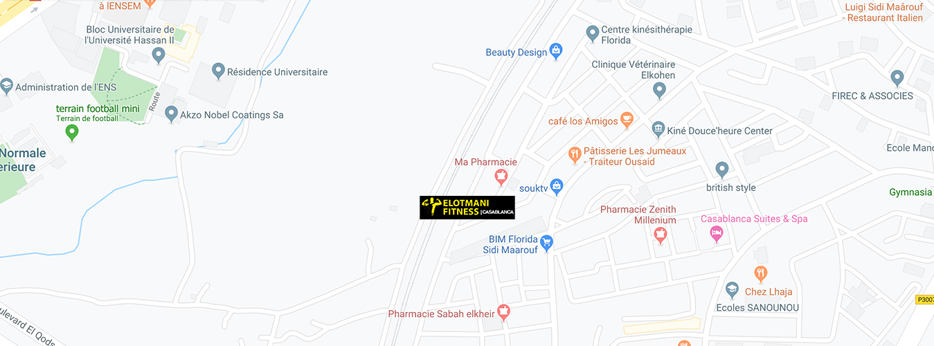 Voir dans google maps